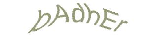 عبارت امنیتی