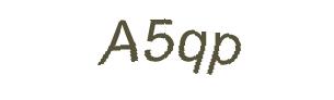 عبارت امنیتی