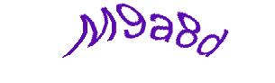 عبارت امنیتی
