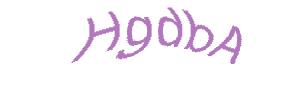 عبارت امنیتی