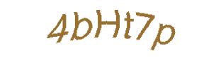 عبارت امنیتی