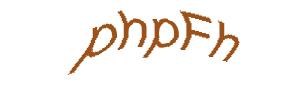 عبارت امنیتی