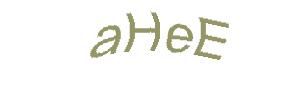 عبارت امنیتی