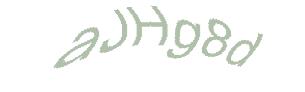 عبارت امنیتی