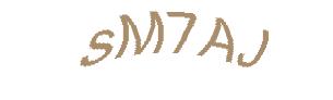 عبارت امنیتی