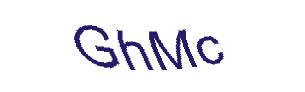 عبارت امنیتی