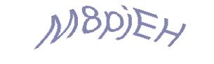 عبارت امنیتی