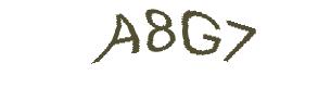عبارت امنیتی