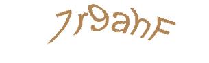 عبارت امنیتی