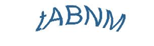 عبارت امنیتی