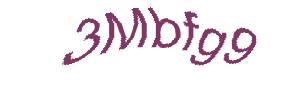 عبارت امنیتی