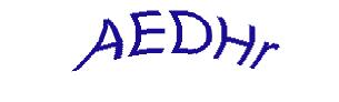 عبارت امنیتی