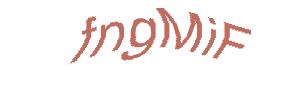 عبارت امنیتی
