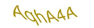 عبارت امنیتی