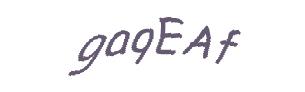 عبارت امنیتی