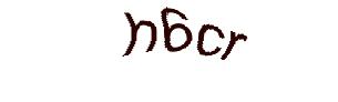 عبارت امنیتی