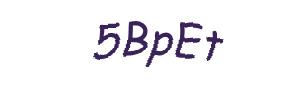 عبارت امنیتی