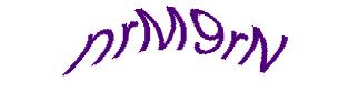 عبارت امنیتی