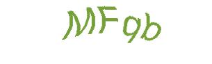 عبارت امنیتی