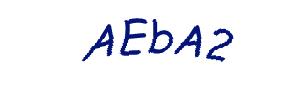 عبارت امنیتی