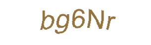 عبارت امنیتی