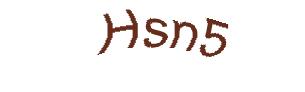 عبارت امنیتی