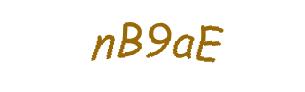 عبارت امنیتی