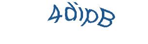 عبارت امنیتی