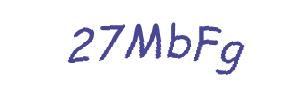 عبارت امنیتی