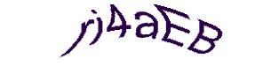 عبارت امنیتی