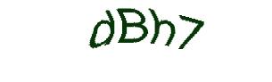 عبارت امنیتی