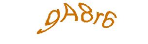 عبارت امنیتی