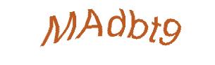 عبارت امنیتی