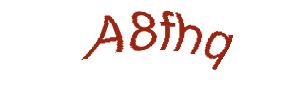 عبارت امنیتی