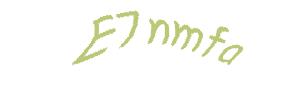 عبارت امنیتی