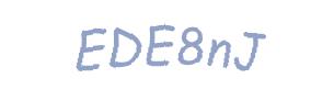 عبارت امنیتی