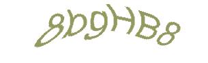 عبارت امنیتی