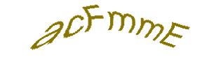عبارت امنیتی