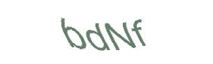 عبارت امنیتی