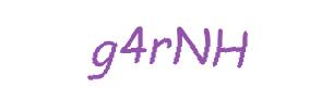 عبارت امنیتی