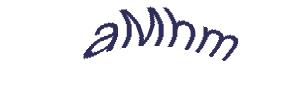 عبارت امنیتی