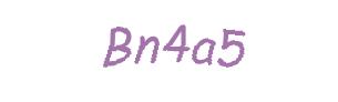 عبارت امنیتی