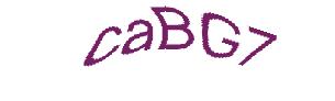 عبارت امنیتی