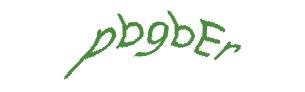عبارت امنیتی