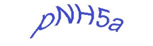عبارت امنیتی