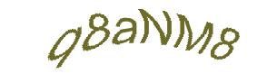 عبارت امنیتی
