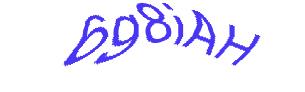 عبارت امنیتی