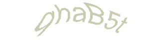 عبارت امنیتی