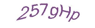 عبارت امنیتی