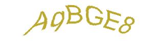 عبارت امنیتی